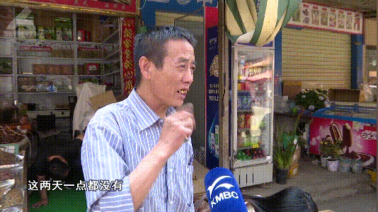 掌上春城
