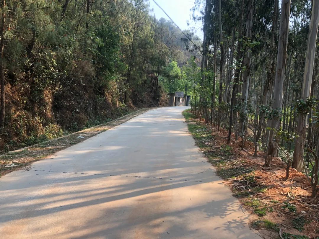 保山新闻网