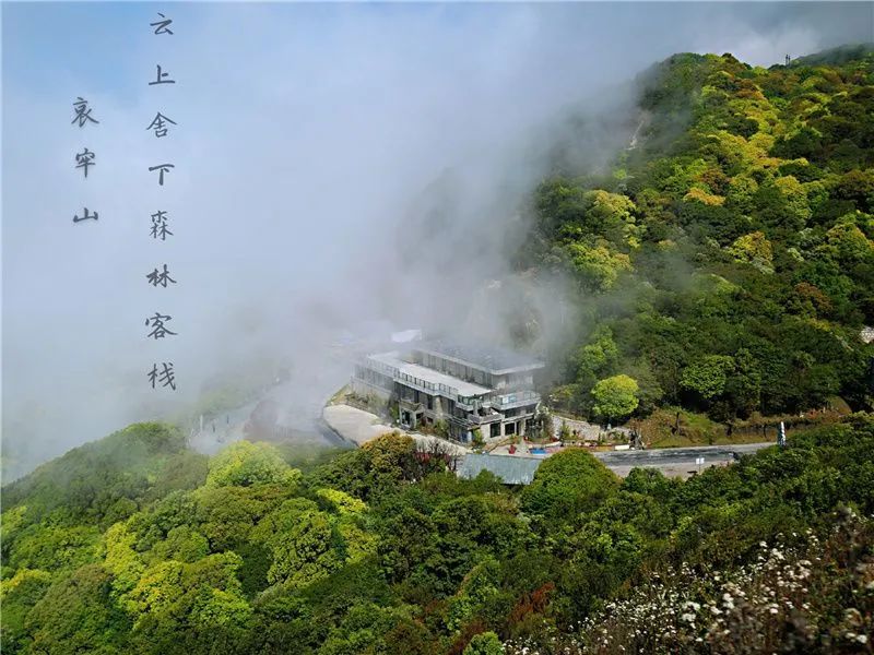 普洱日报