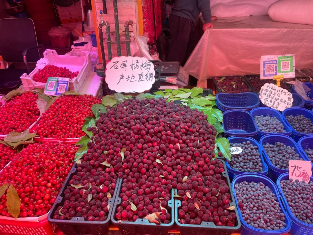 昆明信息港/cnkmxxg