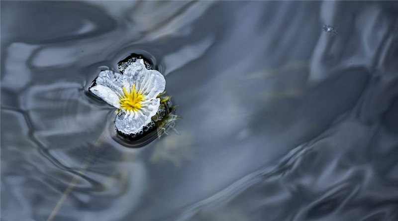 云南省文化和旅游厅