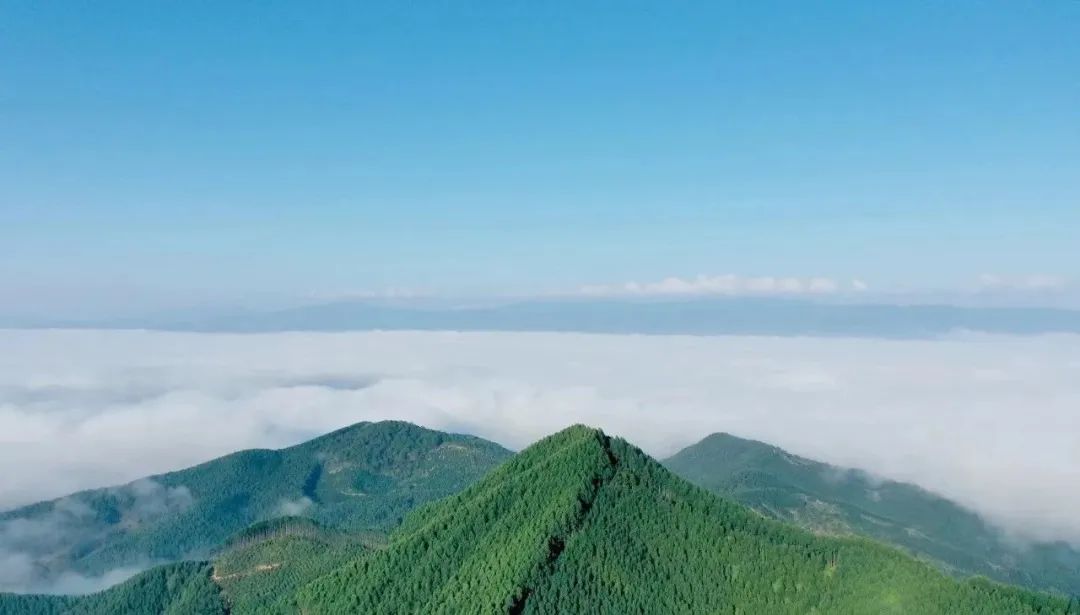 普洱日报