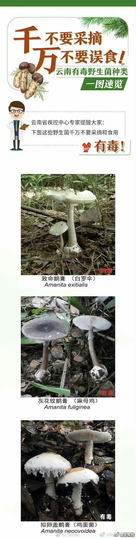 滇池旅游度假区