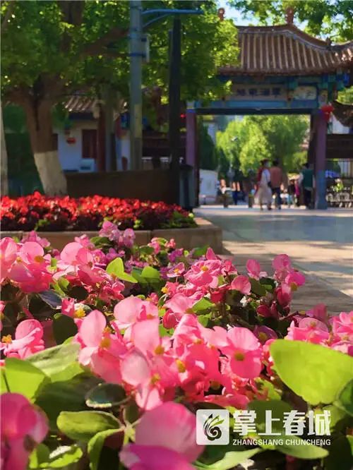 云南广播电视台