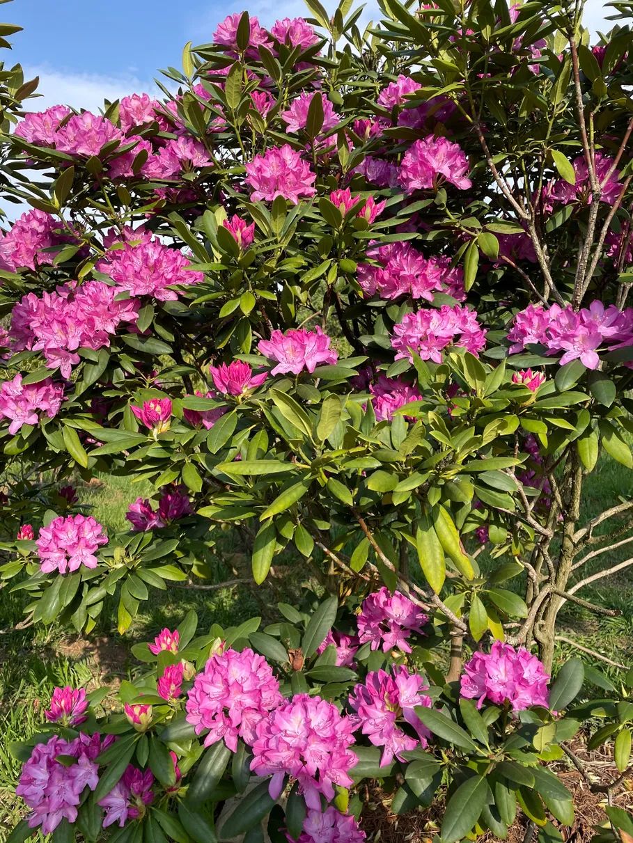 昆明西山发布