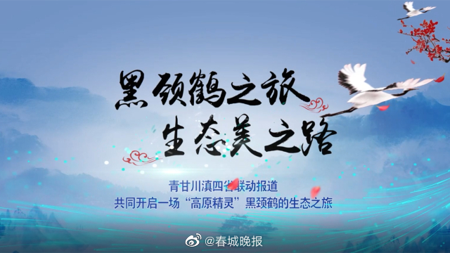 春城晚报