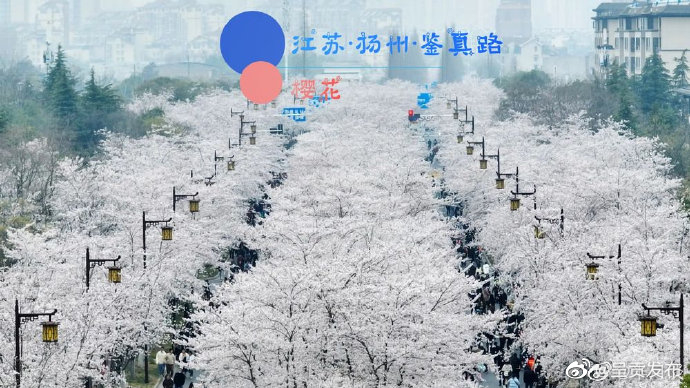 呈贡发布