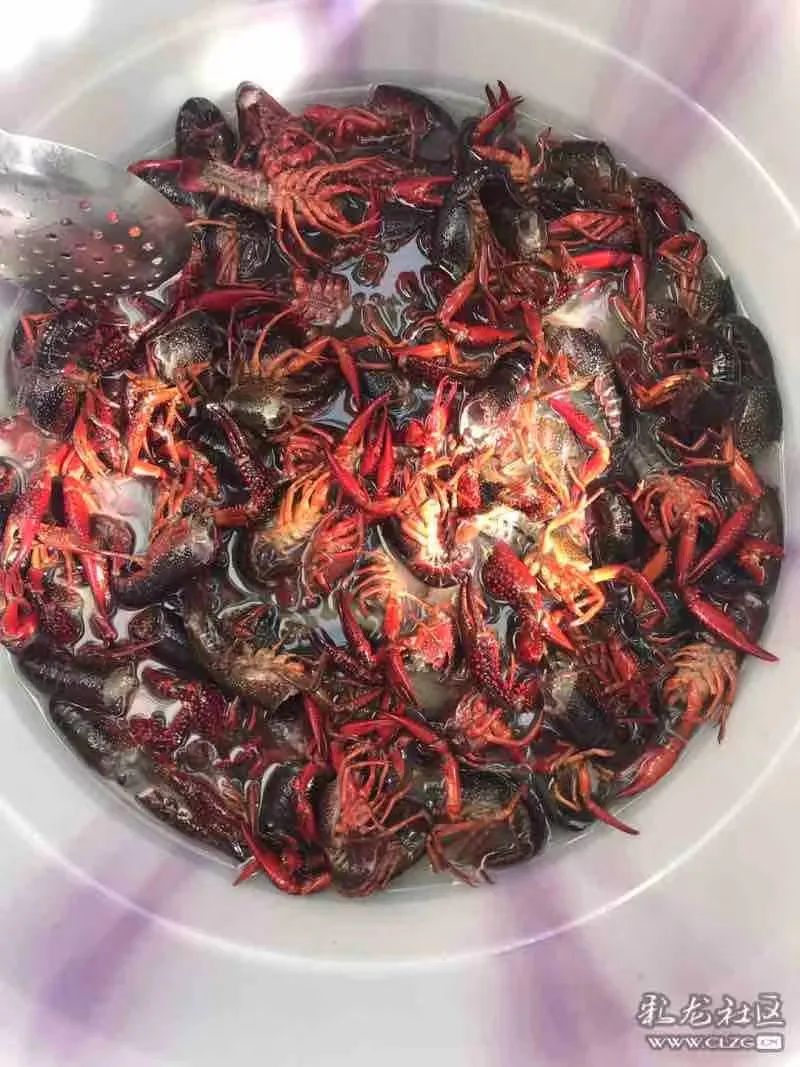 昆明信息港/cnkmxxg