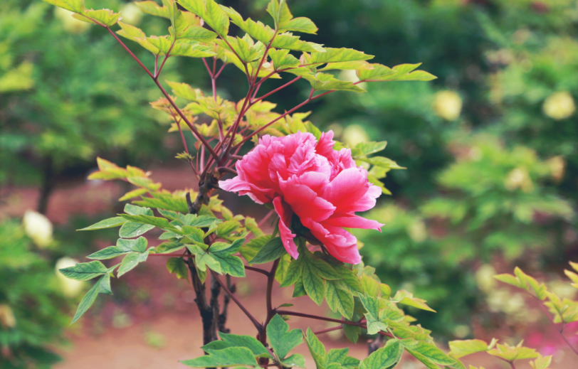 昆明阳宗海风景名胜区