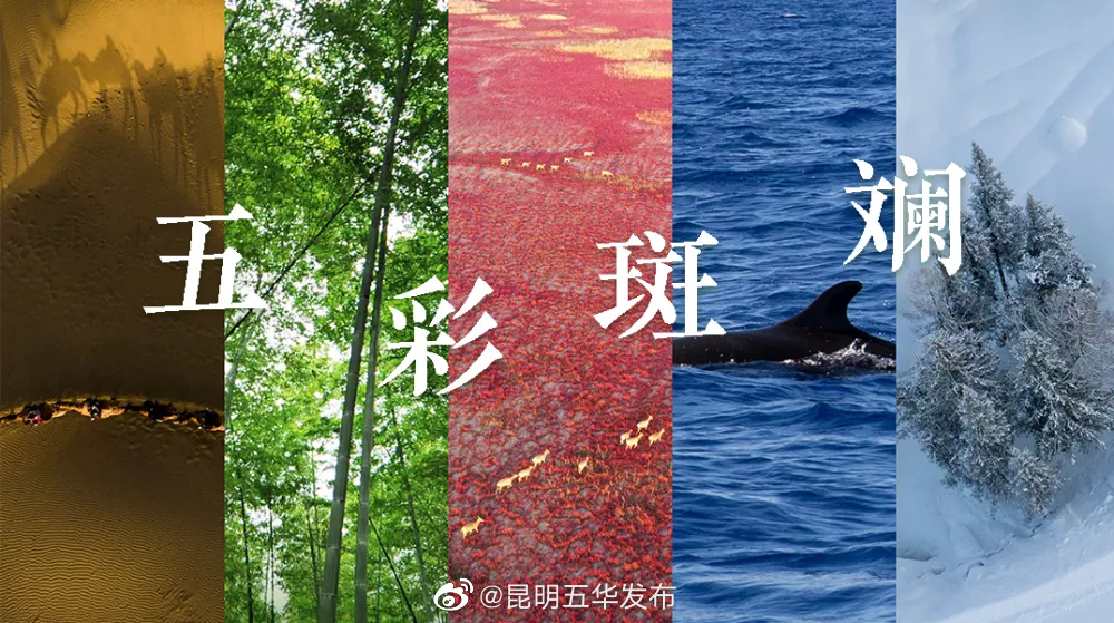 昆明五华发布