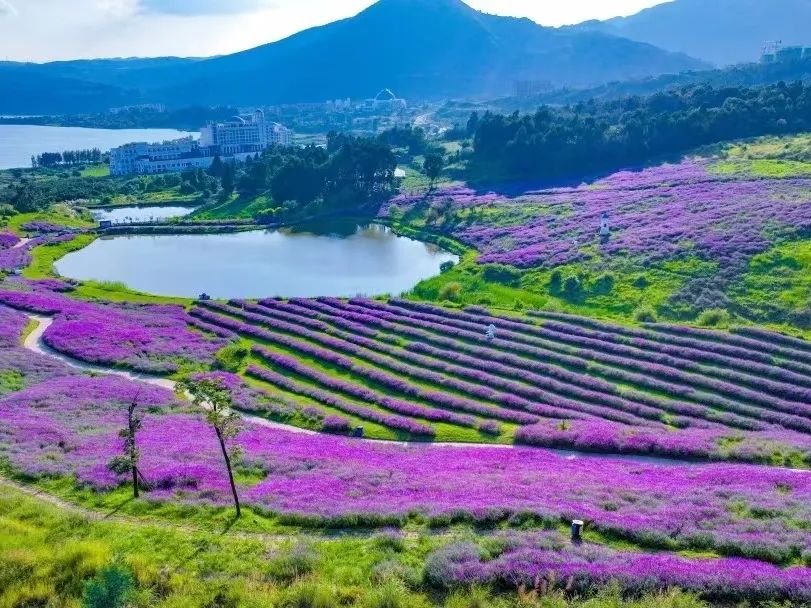 昆明阳宗海风景名胜区