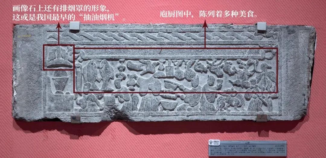 美丽云南微科普