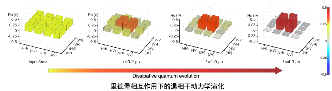 美丽云南微科普