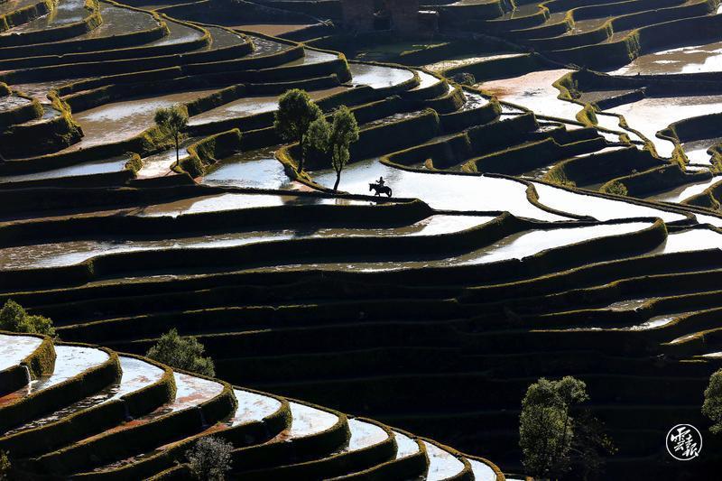 云南省文化和旅游厅