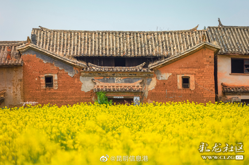 昆明信息港（微博）