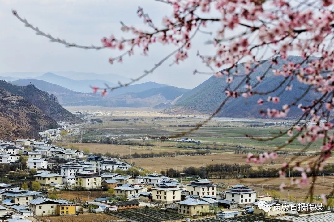 迪庆日报传媒