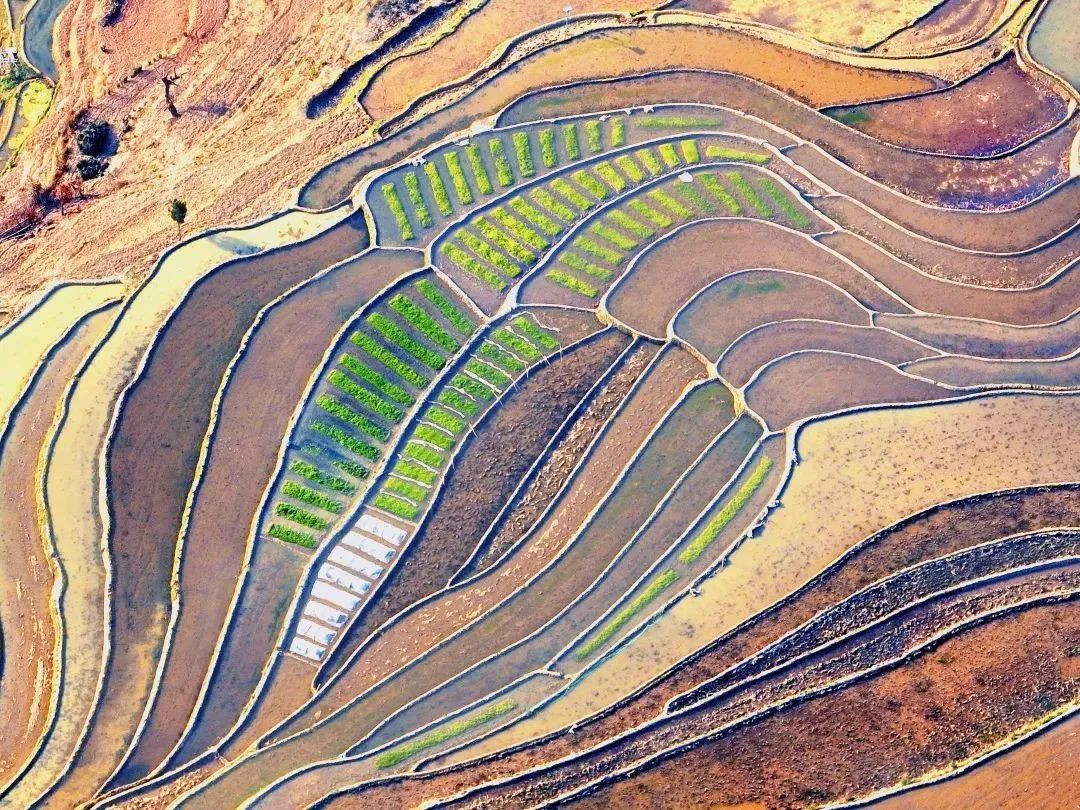 云南省文化和旅游厅