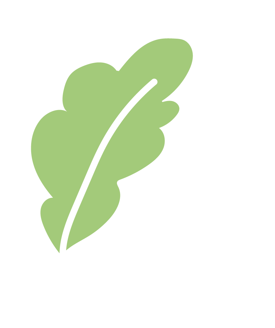 昆明经开区