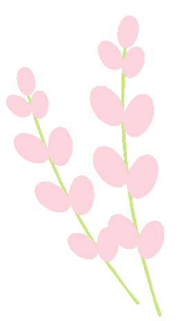 宜良之窗