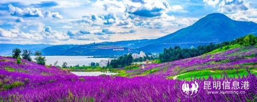 昆明市文化和旅游局