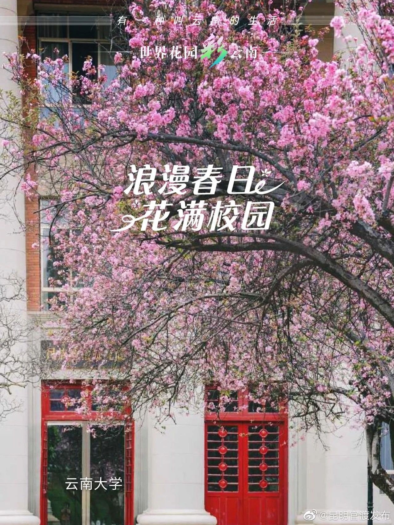 “昆明官渡发布”微博