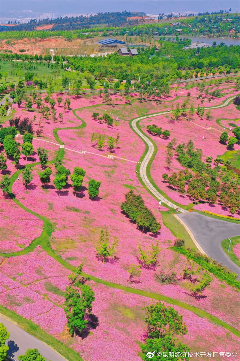 昆明经济技术开发区管委会