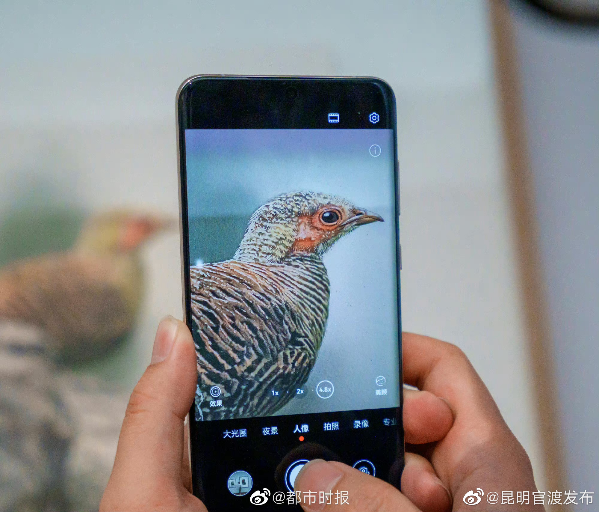 “昆明官渡发布”微博