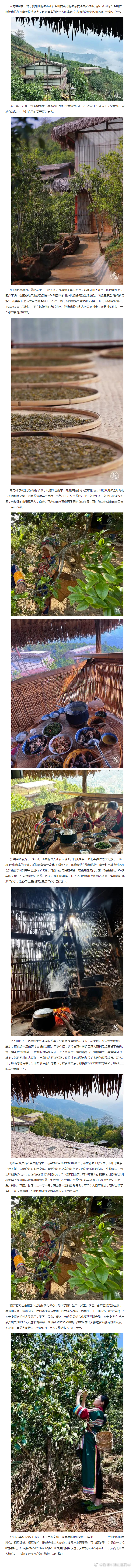 有一种叫云南的生活 丨临沧南美石斧山 茶旅飘香引客来