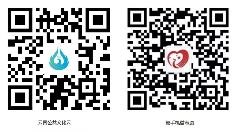 云南省人民政府网