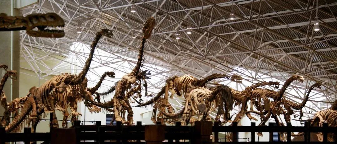 云南省文化和旅游厅