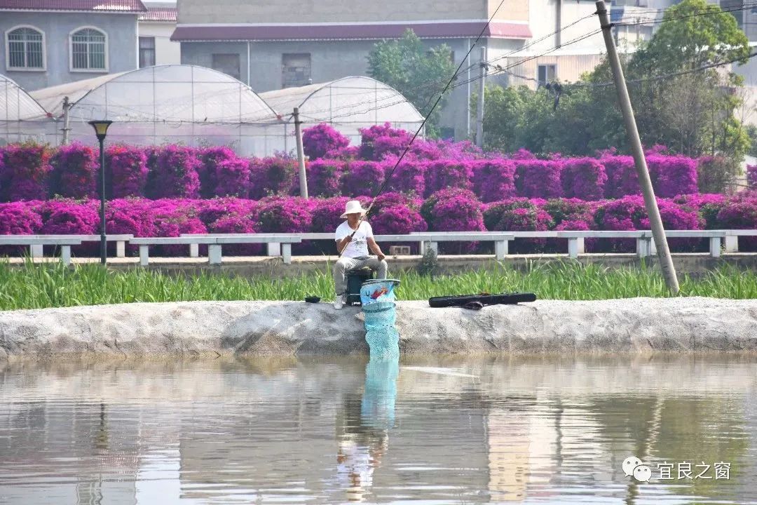 宜良之窗