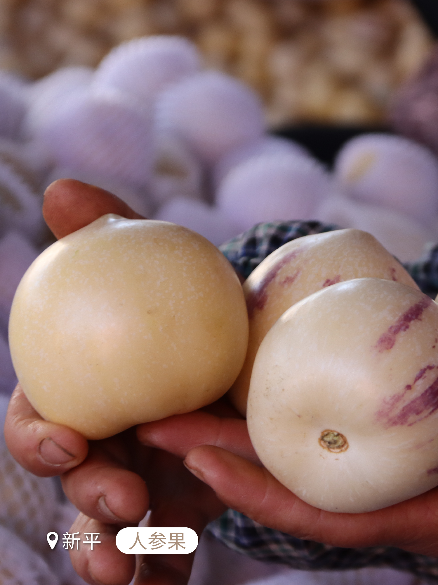 云南省文化和旅游厅