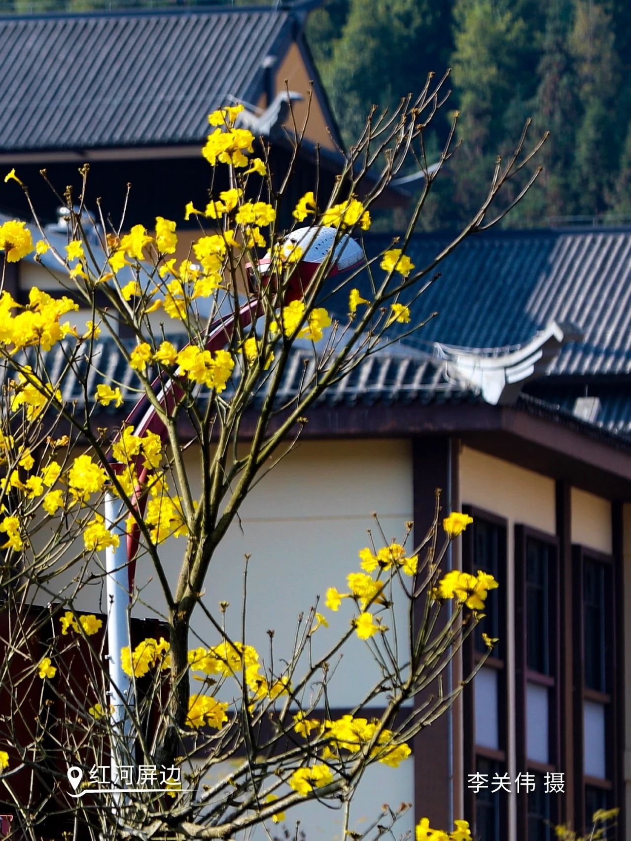 云南省文化和旅游厅