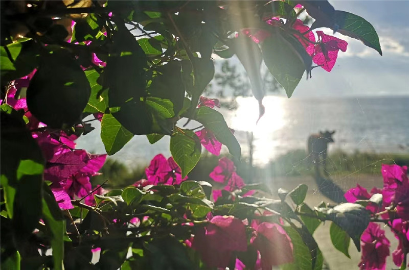 云南省文化和旅游厅