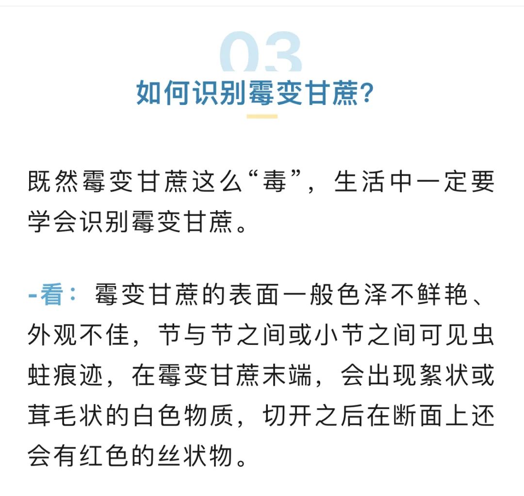 大理日报