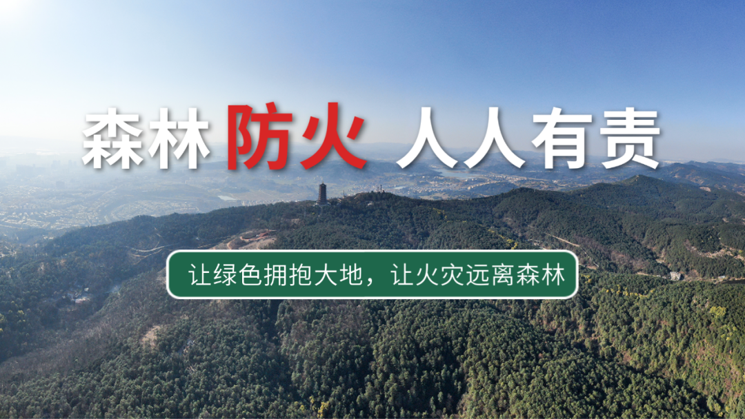保山新闻网