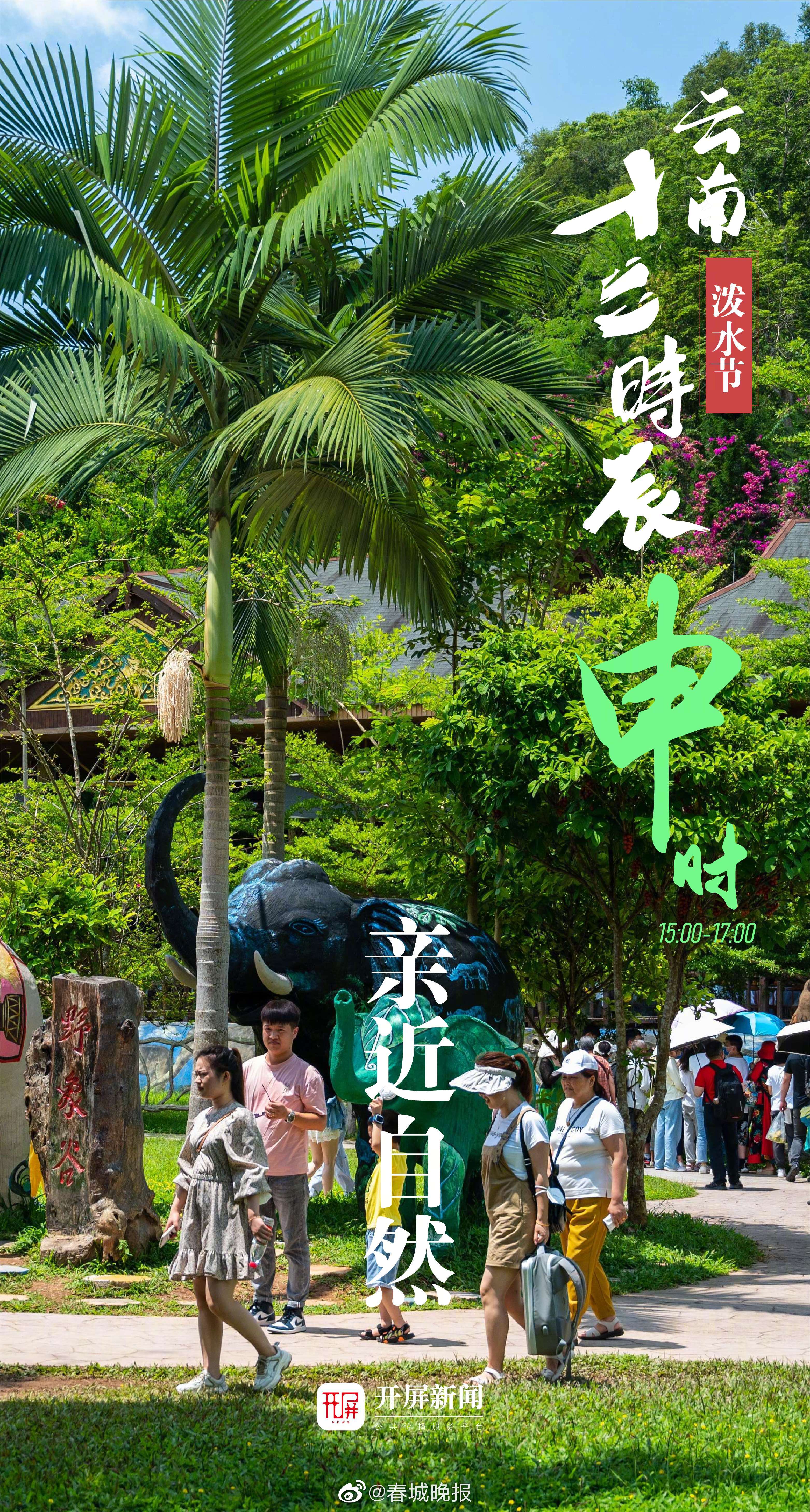 春城晚报