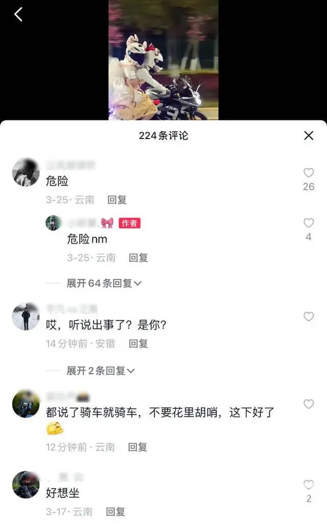 春城晚报