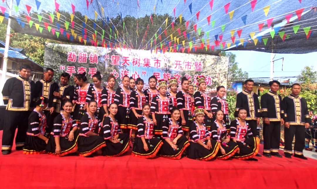 西双版纳望天树景区