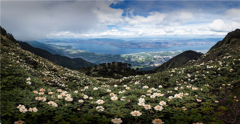 云南省文化和旅游厅