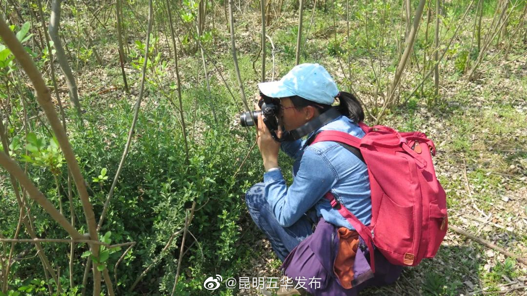 活动招募 | “走读昆动博 趣探大自然”小记者实践等你来！