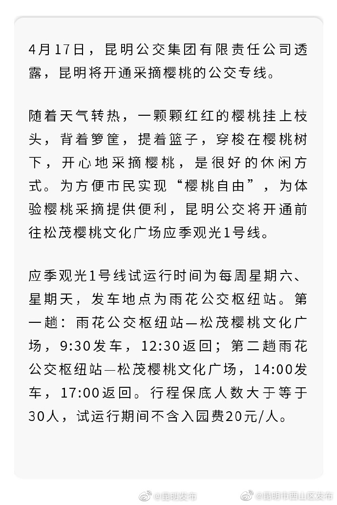 摘樱桃去咯~昆明公交开通采摘专线