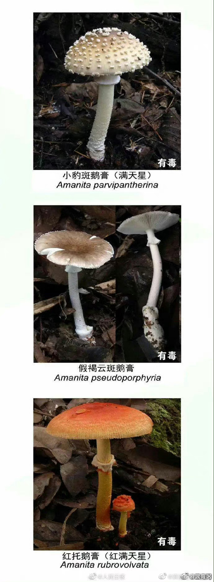 滇池旅游度假区