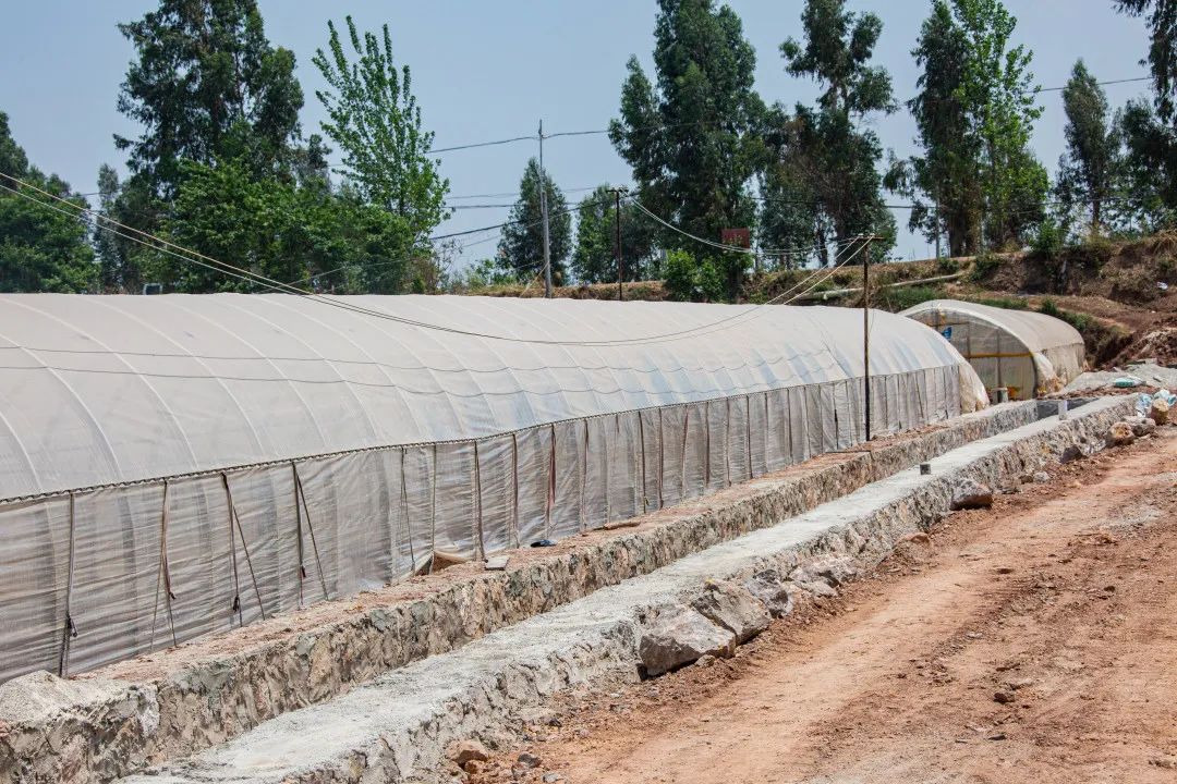 晋宁诗意的栖居地