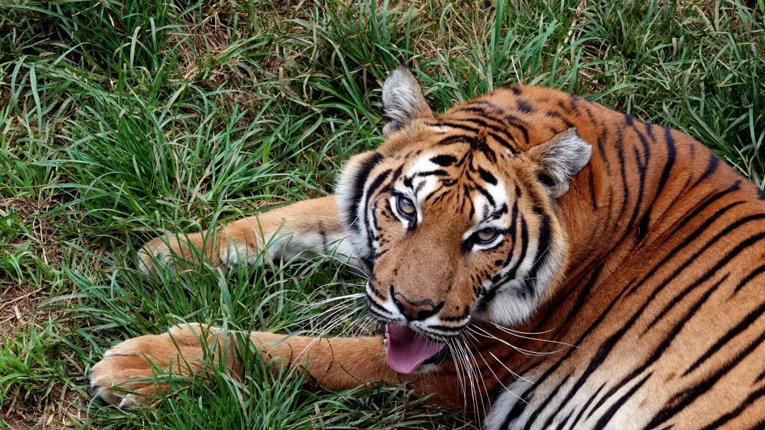 云南野生动物园