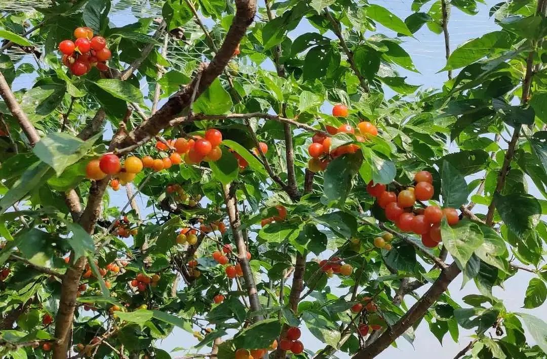晋宁诗意的栖居地