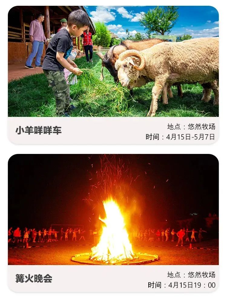 爱上富民