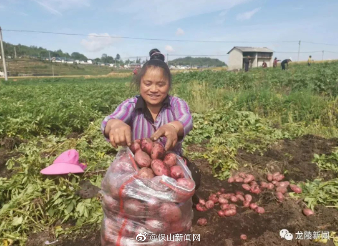 保山新闻网