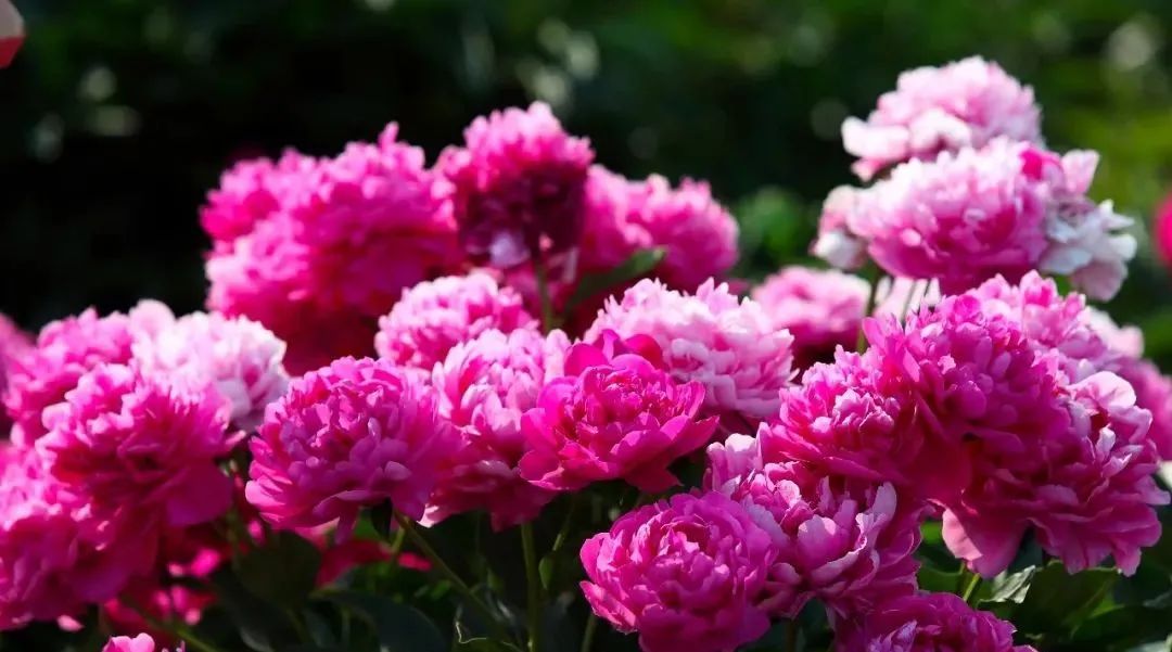 昆明阳宗海风景名胜区