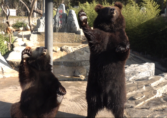 云南野生动物园